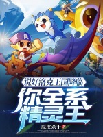 小说《洛克王国精灵王系列》封面