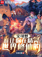 小说《精灵宝可梦的世界观》封面