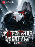 小说《我在东京的罪恶日常小说》封面