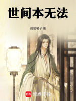 小说《世间本无法》封面
