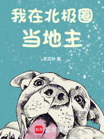 小说《我在北极圈当地主》封面