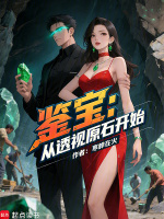 小说《鉴宝从透视原石开始》封面