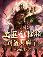 小说《三国:土匪型猛将,刘备人麻了主角刘平小说》封面