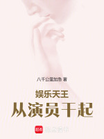 小说《娱乐天王从演员干起》封面