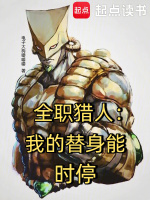 小说《全职猎人衍生小说》封面