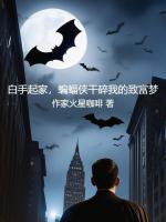 小说《白手起家,蝙蝠侠干碎我的致富梦无删减全文免费阅读》封面