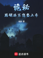 小说《路明非秘密》封面