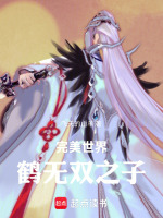 小说《鹤无双完美世界百度百科》封面