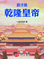 小说《乾隆是胤禛的第几子》封面