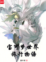 小说《宝可梦旅途旅途》封面