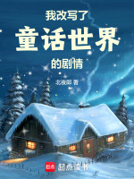 小说《关于童话改写的作文》封面