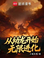 小说《吾从龙开始进化》封面