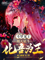 小说《周天星斗化龙星官》封面
