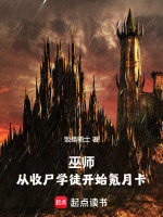 小说《巫师在哪里学来的巫术》封面